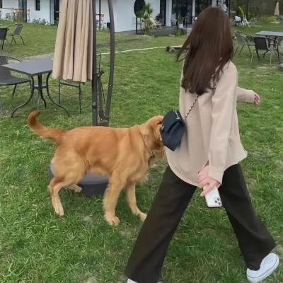 新妇日记